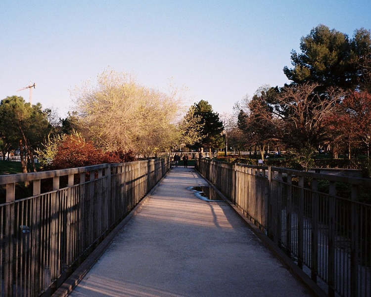 Aparat analogowy Ricoh 800 MZ