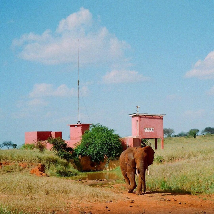 Olympus Viewzoom 120