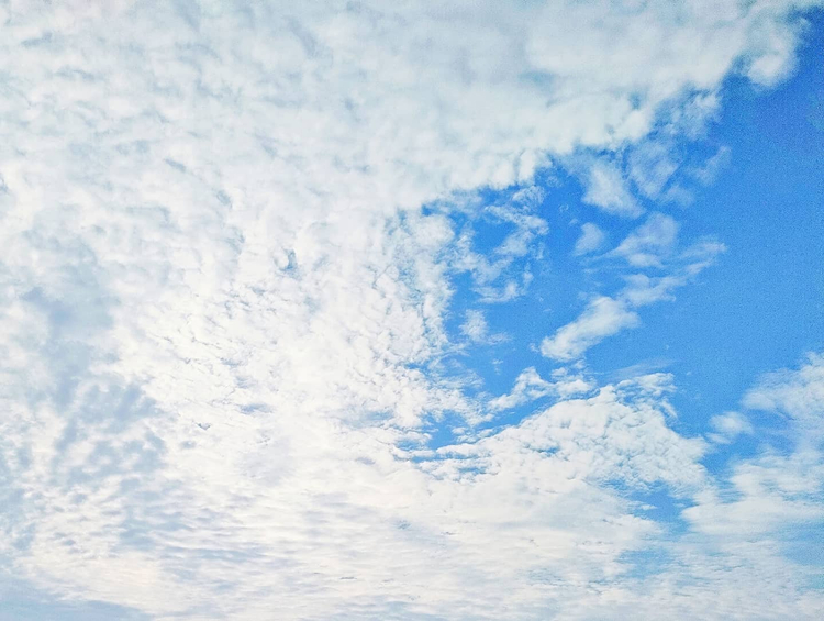 Zestaw z aparatem Minolta Riva Zoom 115