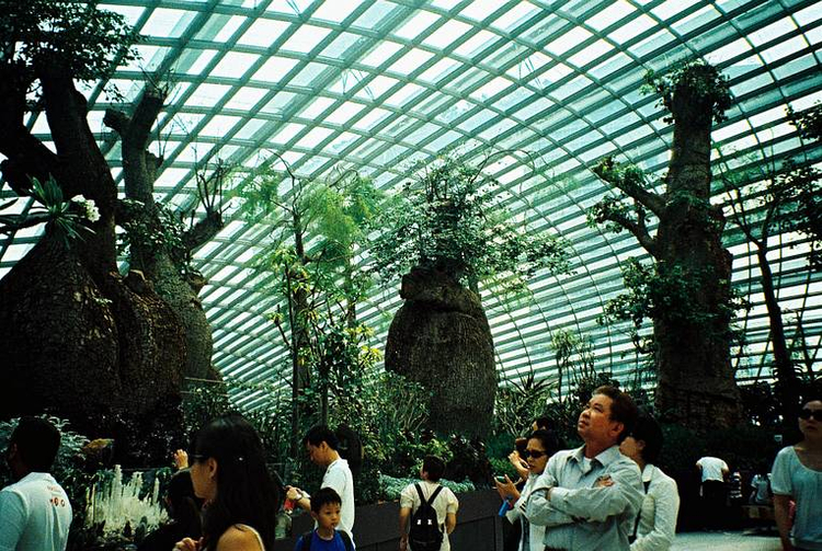 Aparat analogowy Yashica Microtec Zoom 70