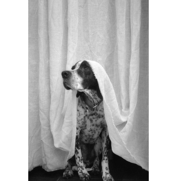 Aparat analogowy Ricoh XF-30