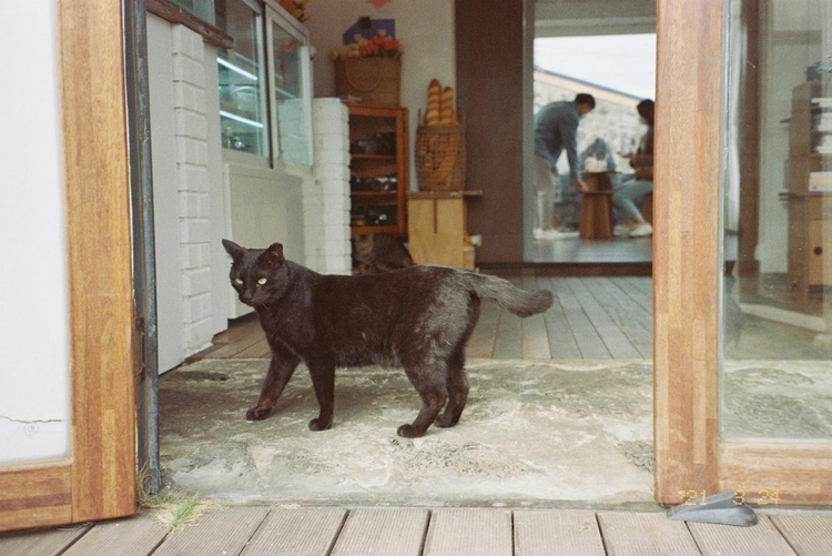 Canon Prima Zoom 65 AiAF