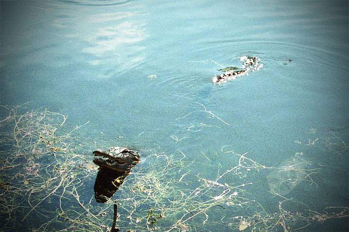 Nikon lite touch zoom70w AF