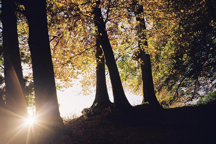 Zestaw z aparatem Minolta Riva Zoom 115