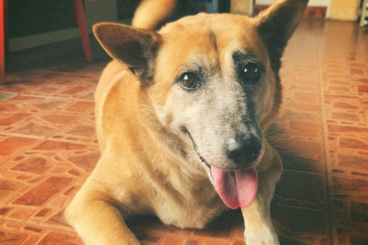 Kodak Easyload 35 KE25