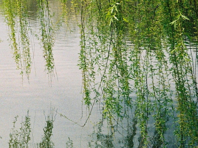 Aparat analogowy Olympus AF-1 Super