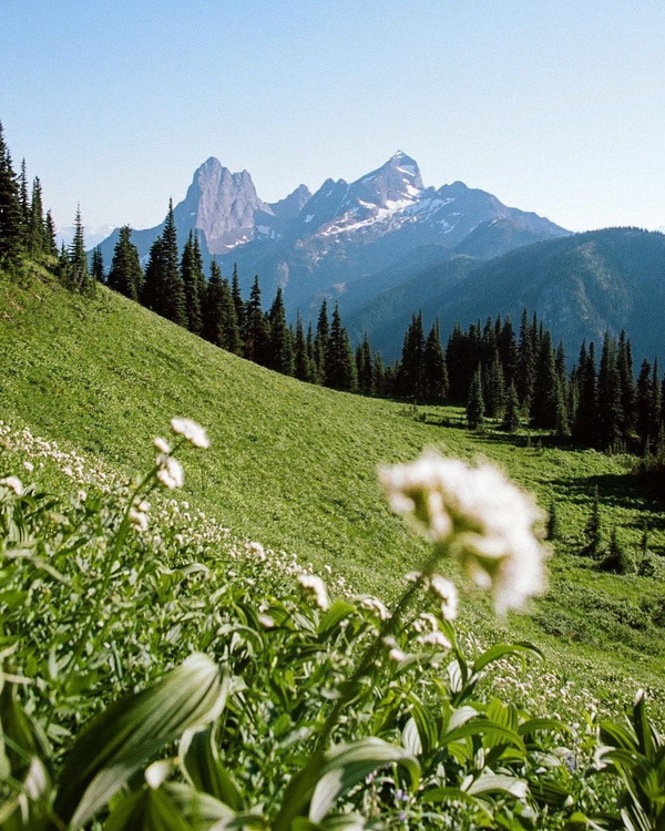 Aparat analogowy Canon EOS 650 Body