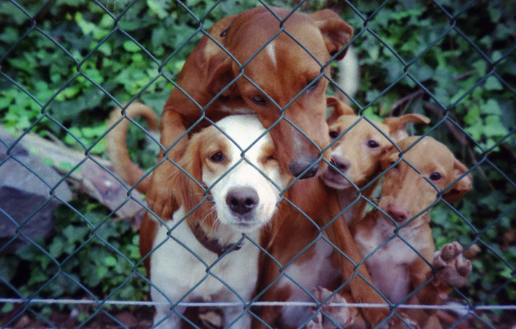 Legendarny aparat analogowy Olympus MJU II