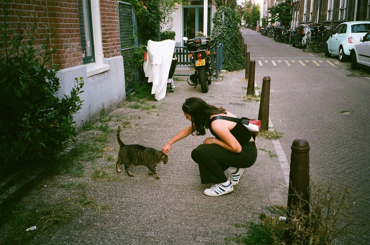 Aparat analogowy Pentax PC-550