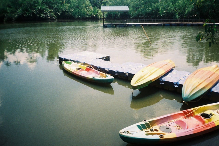 Zestaw z aparatem Fujifilm Clear Shot 10 Auto