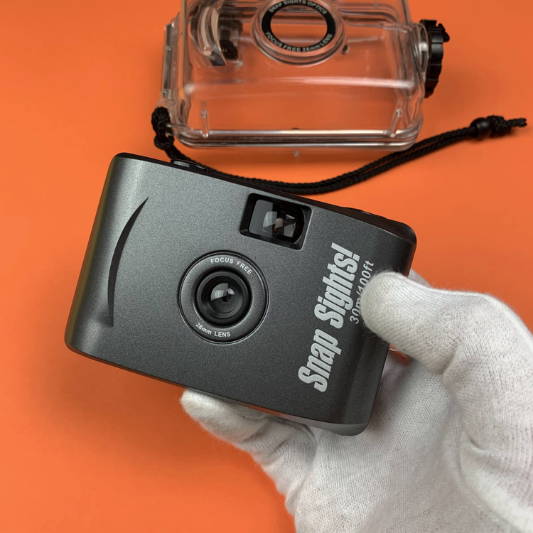 Snap sights underwater