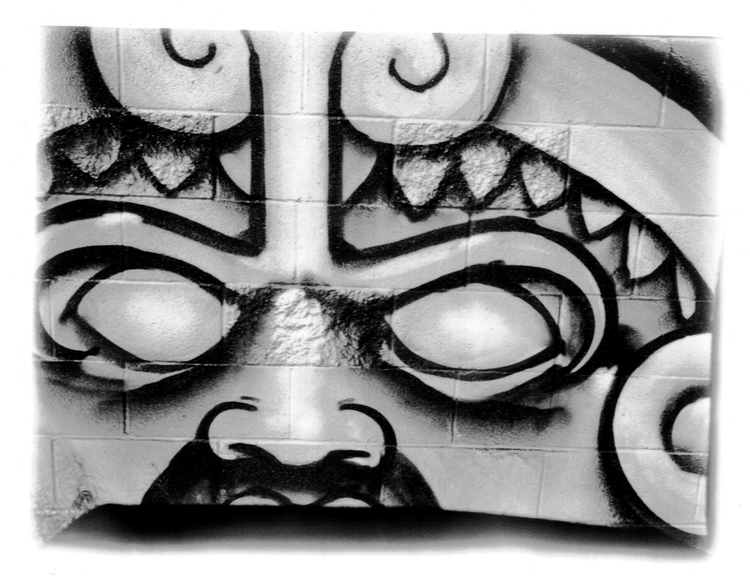 Fuji FZ-3000 zoom date