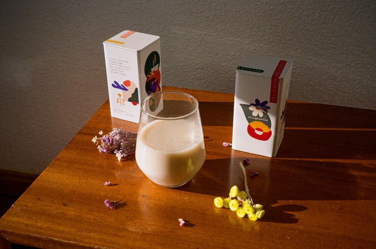 Canon Prima Zoom 85n