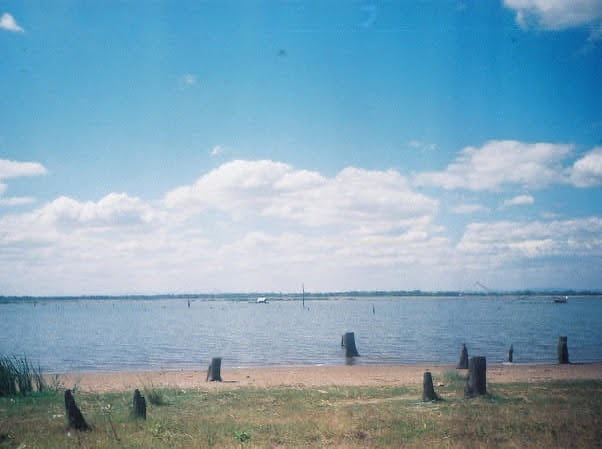 Aparat analogowy Kodak Pro-Star 111