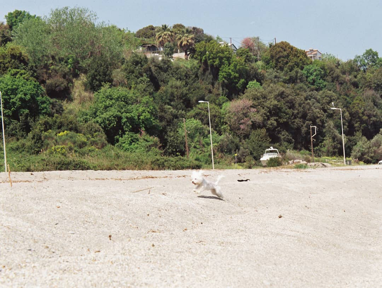 Aparat analogowy Canon EOS 300 SET