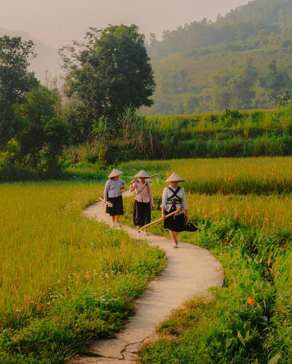 Aparat analogowy Canon EOS 650 Body