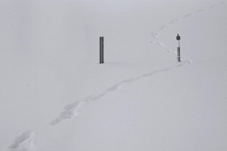 Minolta Riva Zoom 90