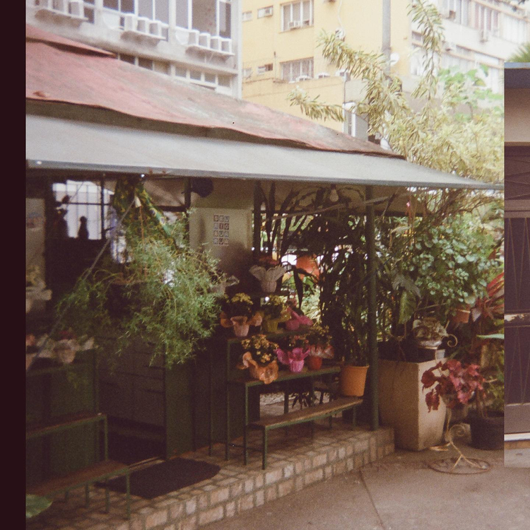 Aparat analogowy Fujifilm Clearshot M II 2