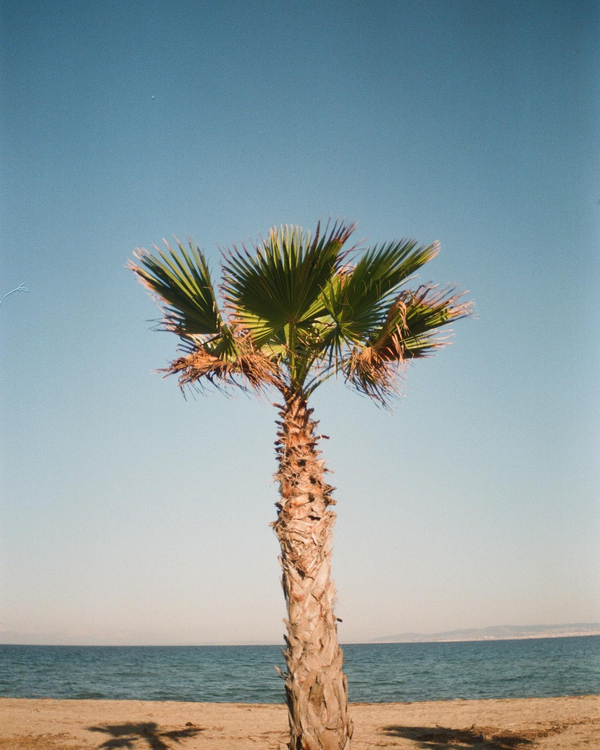 Aparat analogowy Olympus trip XB40AF