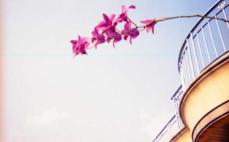 Fujifilm Clear Shot Plus