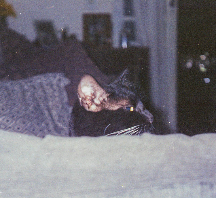 Olympus AZ-200 Superzoom