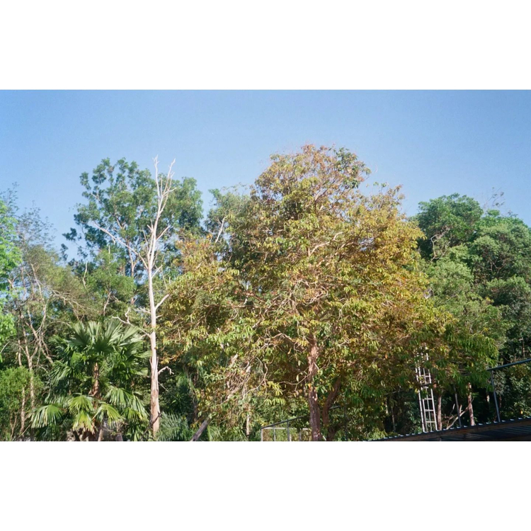 Olympus AZ-200 Superzoom