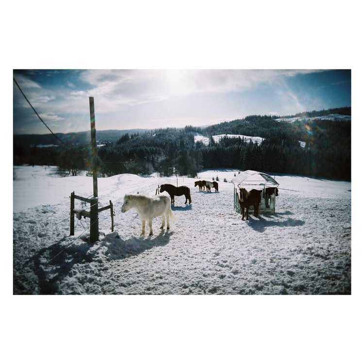 Aparat analogowy Canon Prima AF-10