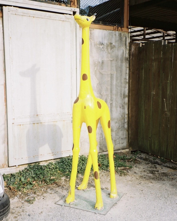 Minolta Riva Zoom 90