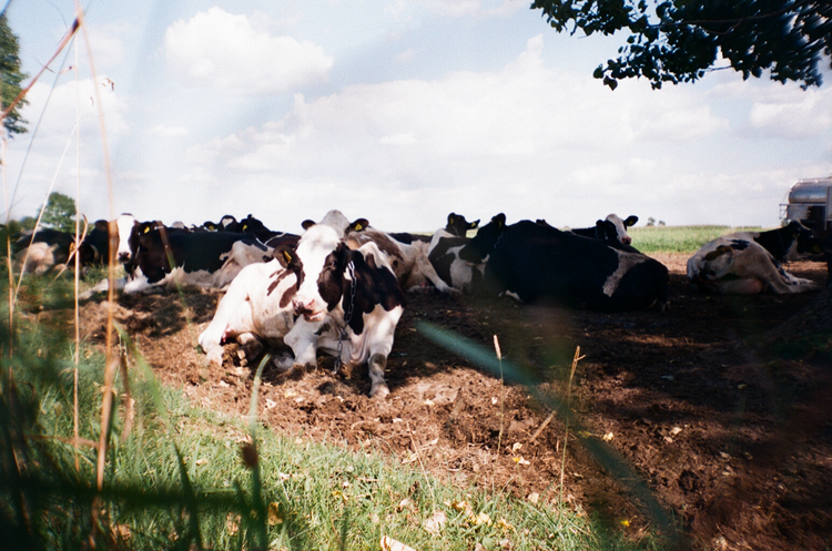 Minolta F35 BIG FINDER