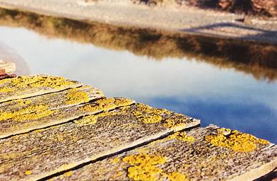 Podwodny aparat seemann sub point and shoot