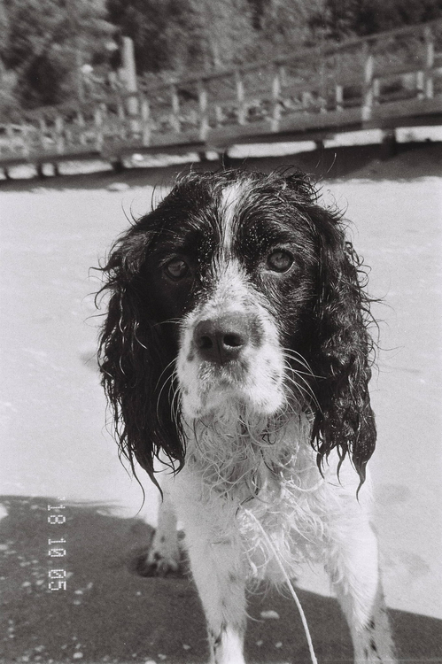 Kodak Easyload 35 KE30