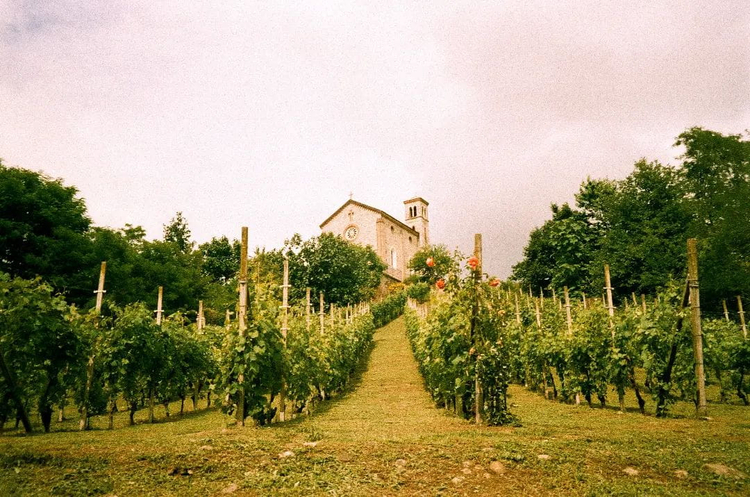 Aparat analogowy Nikon Zoom 600AF