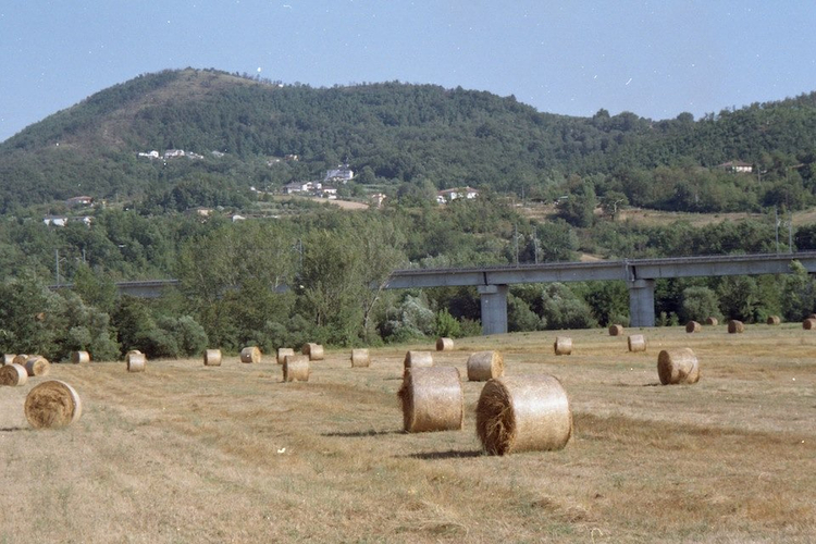 Canon prima super 120